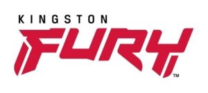 Kingston fury
