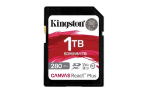 Kingston SDR2V6
